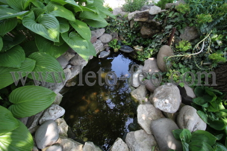 Фото двора