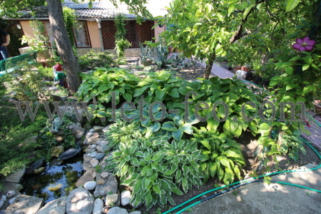 Фото двора