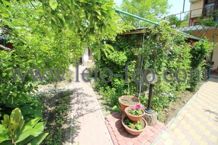 Фото двора