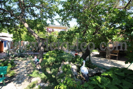 Фото двора